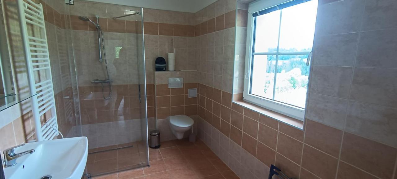 Apartman U Lebedu Apartment Strazny Exterior photo
